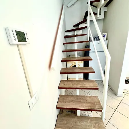 Camelia Vista Mare *