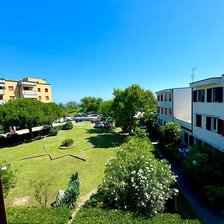 Camelia Vista Mare